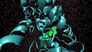 VMD with Gromacs protein simulation over IMD [upl. by Reiners322]