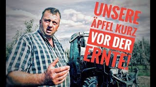 Obsthof Raddatz  Unsere Äpfel kurz vor der Ernte [upl. by Beghtol629]