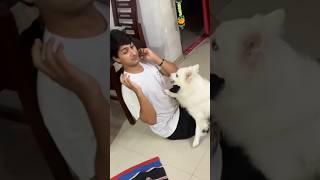 Angry orio souravjoshivlogs vlogs funny orio viral trending shorts [upl. by Ragse]