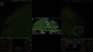 Maiev Shadowsong vs Berserk Wildkin [upl. by Yellhsa]