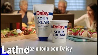 DAISY Sour Cream 2019 [upl. by Basso302]