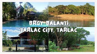 Brgy BalantiTarlac City Bale Mi Farm LifestyleHale Aloha Kit Cujo Game Farmfarms Flora amp Fauna [upl. by Ayet655]