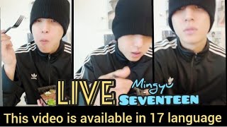 17  SUB LIVE SEVENTEEN MINGYU TODAY WEVERSE LIVE 1742024 [upl. by Boris]