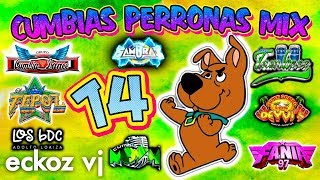 CUMBIAS PERRONAS MIX 14  ESTRENOS SONIDEROS 2019 [upl. by Sternberg]