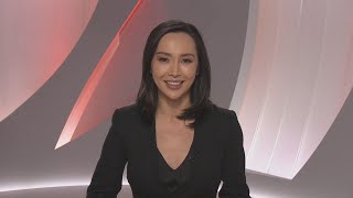 SBS World News  Late  Opener amp Reports  28062023 [upl. by Ocana]