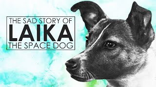 The Sad Story Of Laika The Space Dog  First Dog In Space  Sputnik 2 [upl. by Boelter]