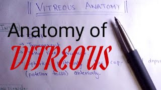 Anatomy of Vitreous  Posterior segment of eye  Handwritten Notes [upl. by Kayley]