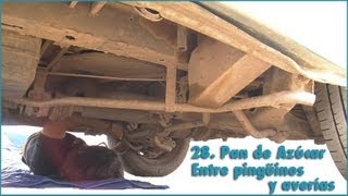 28 Pan de Azúcar en Chile 🇨🇱  Entre pingüinos y mecánicos [upl. by Eneluqcaj]