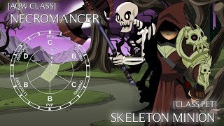 AQW Necromancer Overview [upl. by Evadnee]