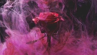 Rose 🌹 Image Effect Background no Sound HD QUALITY VIDEO Video 😞2K [upl. by Anne-Corinne]