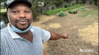 How to prepare and plant Fescue grass in fall [upl. by Anilat]