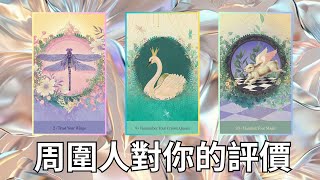 EclipseTarot▪️▫️【周圍的人對你的評價】領導老闆老師 VS平輩同儕 塔羅占卜 [upl. by Demp]