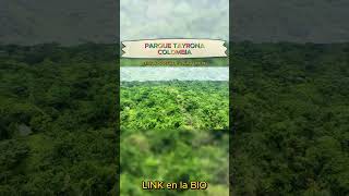 Parque Tayrona  MIRADOR [upl. by Rye]