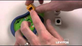 How to Use a Leviton Palm Termination Tool [upl. by Ainerol]