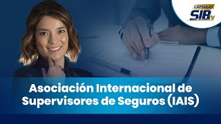 Cápsula informativa  Asociación Internacional de Supervisores de Seguros IAIS [upl. by Remark745]