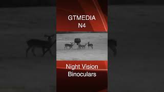 GTMEDIA N4 Night Vision Binoculars  Quick Look [upl. by Hanae]