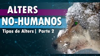 TIPOS de ALTERS NO HUMANOS  TID  Trastorno de Identidad Disociativo [upl. by Lyrred598]