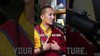 Palga Rinpoche Explains The Meaning Behind Avlokiteshvara – Watch This shorts [upl. by Klarika814]