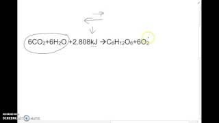 Endothermic or exothermic chemical equation [upl. by Jilli629]