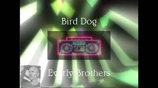 Bird Dog The Everly Brothers 80s Elektro Synth Pop Cover Version [upl. by Mullac]