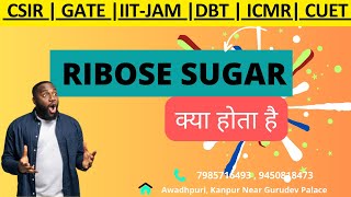 Ribose Sugar  Phosphate  DNA  RNA  Biochemistry  CSIR  GATE  IITJAM DBT genesisinstitute [upl. by Dwinnell]