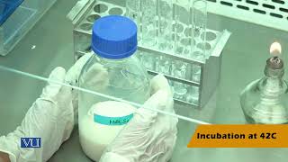 Preparation of Fermented Products  Microbial Biotechnology Practical  BT512PLecture07 [upl. by Yanal]