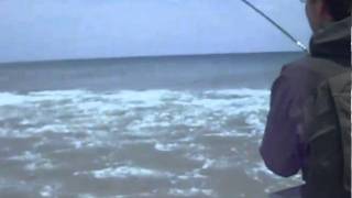 Cape Cod Fly Fishing for Striped Bass [upl. by Assirrak667]