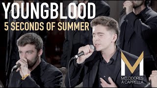 Youngblood 5 Seconds of Summer LIVE — Melodores A CAPPELLA Cover  The Great Room Sessions [upl. by Haldes]