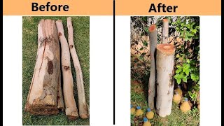 What to do with Tree Logs in Garden  DIY Garden Decoration [upl. by Zippel]