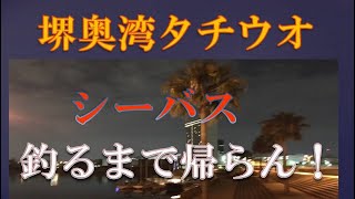 堺港 奥湾 チヌ、シーバス、タチウオ！一匹釣るまで帰れまてん ランガン 大浜埠頭、塩浜埠頭、旧堺港 [upl. by Finley]