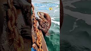 Reaction of toto Giant Sea Monster Amazing😱 😱😱shortamazinggiantseamonster [upl. by Viva232]