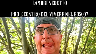 LAMBRENEDETTO  PRO E CONTRO Del VIVERE NEL BOSCO [upl. by Nylecoj]