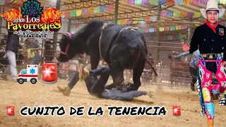 TORNEO DE TOROS  CUNITO EN PROBLEMAS  PLAZA RANCHO EL DIAMANTE [upl. by Sanyu]