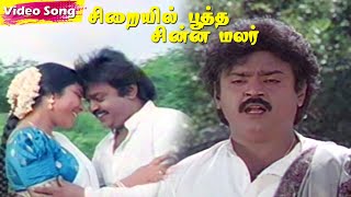 Sirayil Pootha Chinna Malar Songs  Vijayakanth  Bhanupriya  Ilaiyaraaja  Tamil Hit Songs [upl. by Etakyram917]