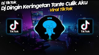 DJ DINGIN KERINGETAN TANTE CULIK AKU DONG VIRAL TIK TOK TERBARU 2022 [upl. by Omsoc]