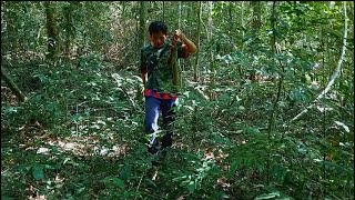 ลวมตัวนายพานลุยแหลกเข้าป่า7คนລວມຕົວນາຍພານລຸຍແຫລກ7ຄົນpaikhosana [upl. by Ankeny]