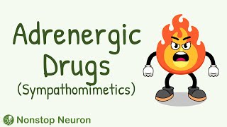 Classification of Adrenergic Drugs  Individual Adrenergic Drugs  Sympathomimetics Pharmacology [upl. by Nnek]