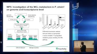 Novel Production Strategies for Biosurfactants BioSurf sequel [upl. by Cristoforo]