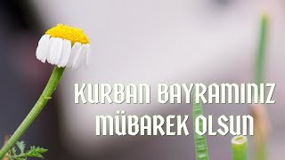 KURBAN BAYRAMI MESAJLARI 2023  EN GÜZEL RESİMLİ KURBAN BAYRAMI MESAJLARI [upl. by Cut]