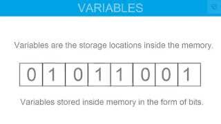 Variable and Data Type in C Programming [upl. by Aynekat]