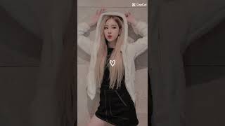 Rosé blackpink APT blackpink kpop kpopedit sofia15 [upl. by Veal]