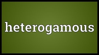 Heterogamous Meaning [upl. by Rae]