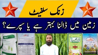 Significance of Soil Application of Zinc Sulphate in Wheat  Bilal Kanju Official [upl. by Cherida]