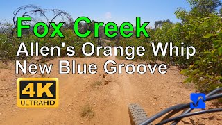 Fox Creek  Allens Orange Whip  New Blue Groove [upl. by Sharity]