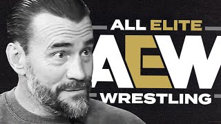 CM Punk Destroys AEW [upl. by Bevers262]