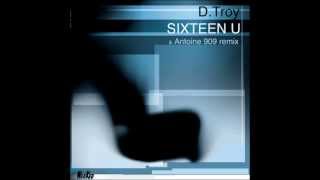 DTroy  Sixteen U Original Mix [upl. by Maia]