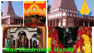 मां भद्रकाली के दर्शन से मनोकामना शीघ्र पूर्ण होती है Maa Bhadrakali Mandir 🙏🙏 [upl. by Renita]