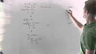 Fünffachzucker Haworth Fischer Teil2 Chemie  Klett Lerntraining [upl. by Aissenav255]