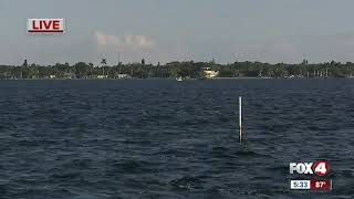 Active rescue underway on Caloosahatchee River [upl. by Aluk593]