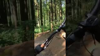 commencal mtb gopro tempo [upl. by Trauts]